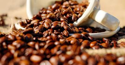 Kahve Türleri ve Özellikleri: Arabica, Robusta ve Liberica