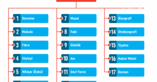 Türkçe'de Metin Türleri Nelerdir?