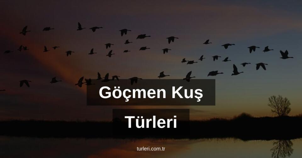 Göçmen Kuş Türleri