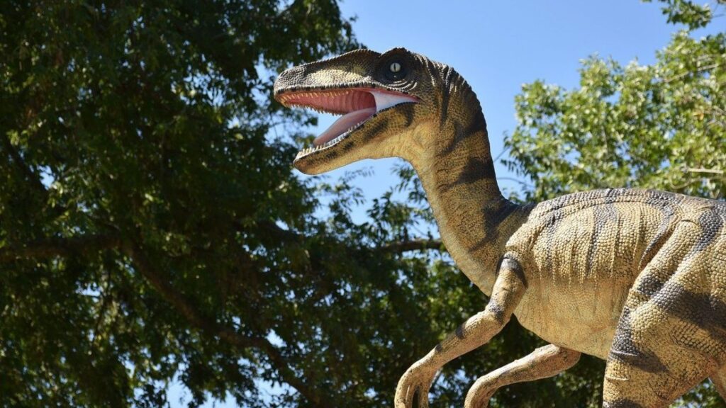 Dinozor Türleri Nelerdir?