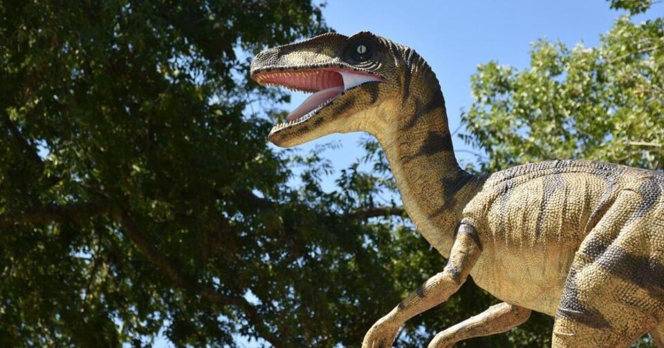 Dinozor Türleri Nelerdir?