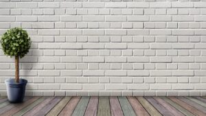 İç Mekan Bitki Türleri Nelerdir?