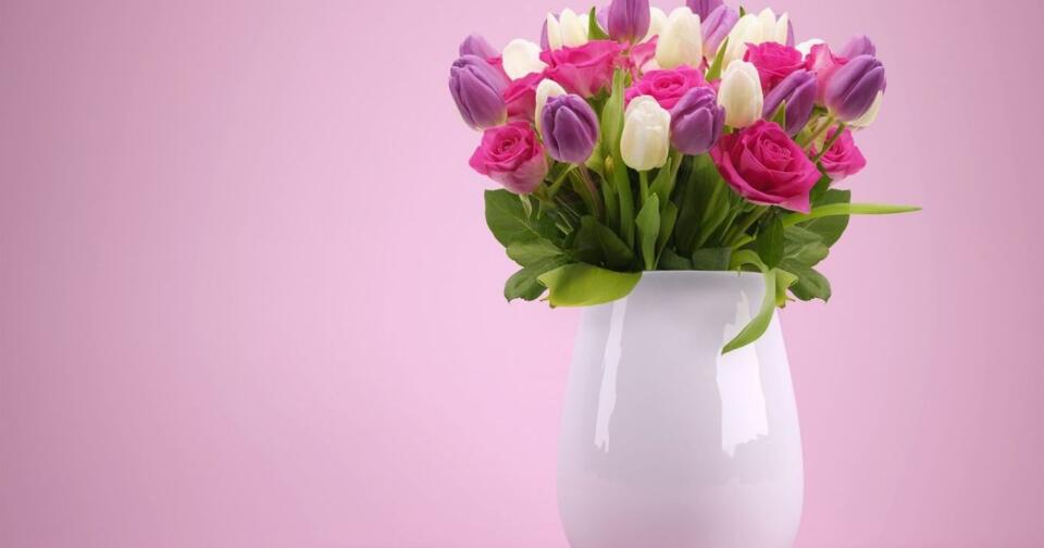 Saksı Çiçek Türleri Nelerdir?