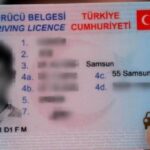 ehliyet-turleri
